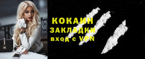 сатива Бежецк