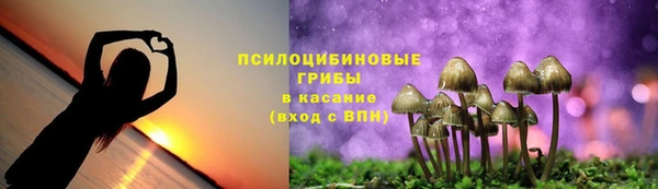 а пвп мука Новозыбков