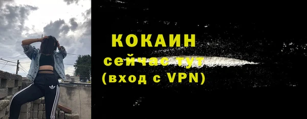 мет Новодвинск