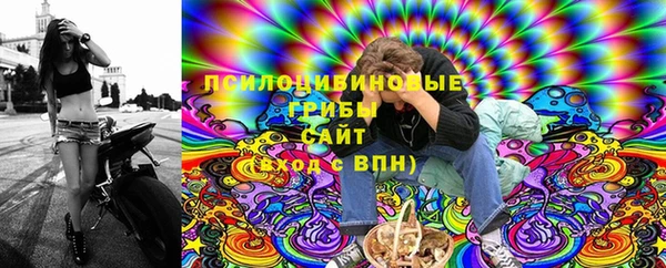 а пвп мука Новозыбков