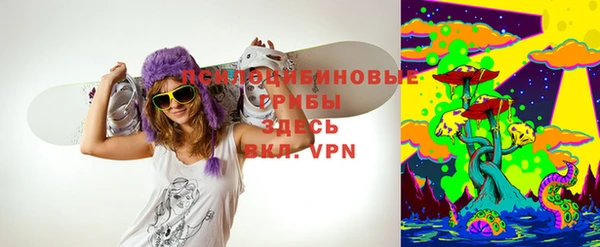 винт Новокубанск